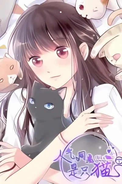 Popular Deskmate Is A Cat