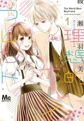 Risouteki Boyfriend