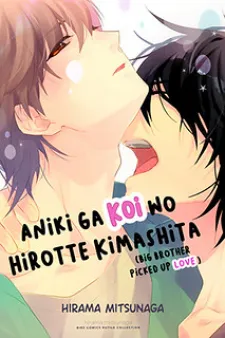Aniki Ga Koi Wo Hirotte Kimashita